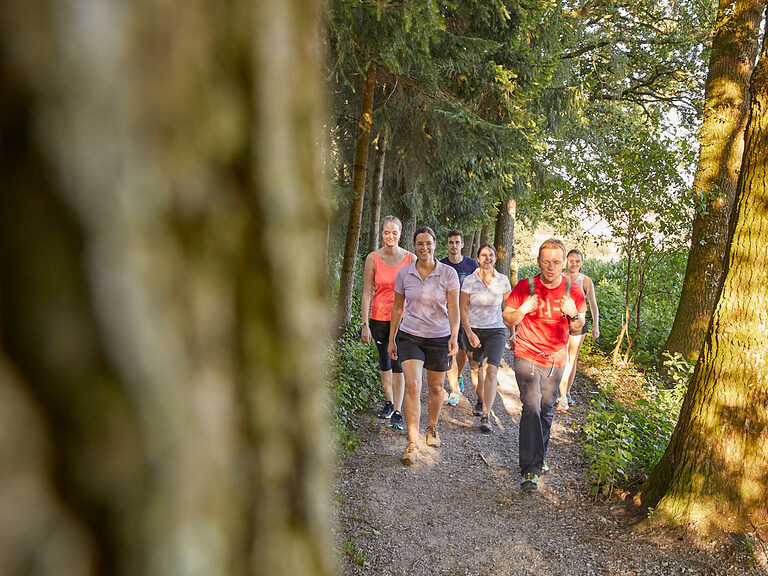 Wandergruppe auf einem idyllischen Waldweg, das Herzstück eines Aktivurlaubs in Bayern.