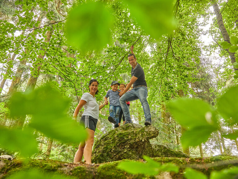 Blick auf die Stadt Salzburg, ein kultureller Ausflug, der den Aktivurlaub in Bayern abrundet.